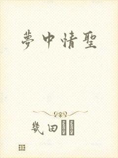 梦中情圣