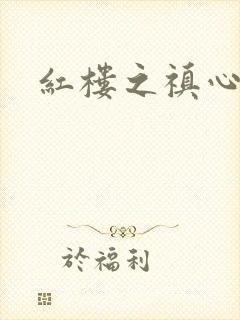 红楼之禛心锁玉