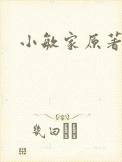 小敏家原著小说