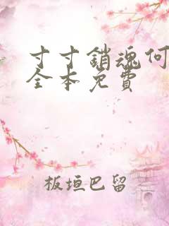 寸寸销魂何生祥全本免费