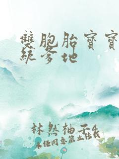 双胞胎宝宝的总统爹地