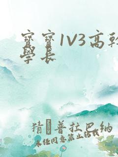 宝宝1V3高干学长