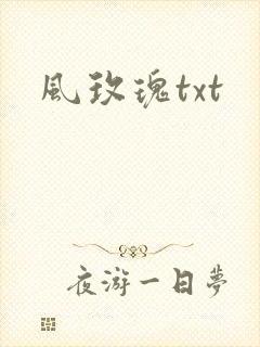风玫瑰txt