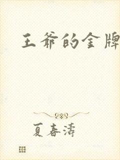 王爷的金牌暗卫