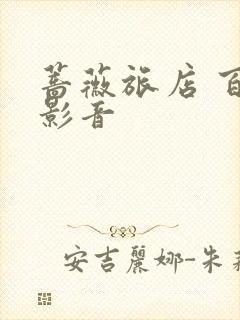 蔷薇旅店 百度影音