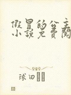 假冒的公主大人小说免费阅读