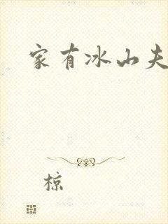 家有冰山夫