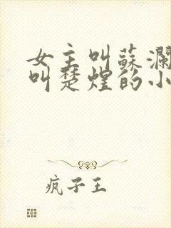 女主叫苏澜男主叫楚煜的小说