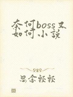 奈何boss又如何小说