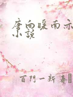 唐向暖南亦琛的小说