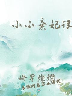 小小弃妃很倾城