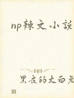 np辣文小说