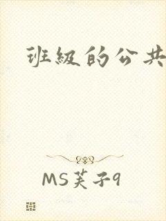 班级的公共玩具