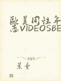 欧美同性年轻同志VIDEOSBEST