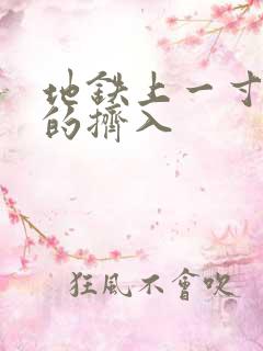 地铁上一寸一寸的挤入