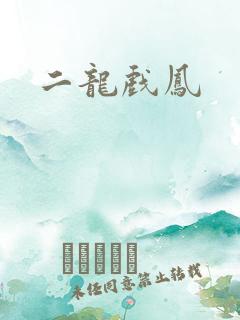 二龙戏凤