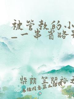 被管教的小美人_一串省略号_