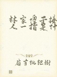 林家傻子接住仙人一指是什么小说