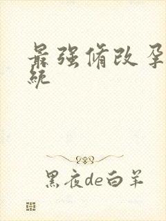 最强修改孕妇系统