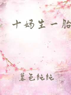 十妈生一胎