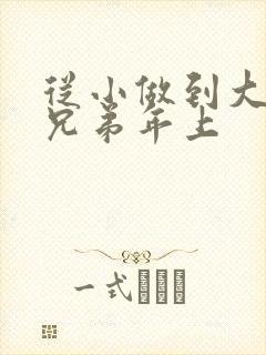 从小做到大骨科兄弟年上