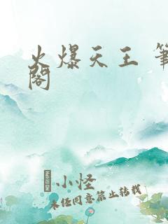 火爆天王 笔趣阁
