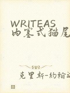 WRITEAS内塞式猫尾