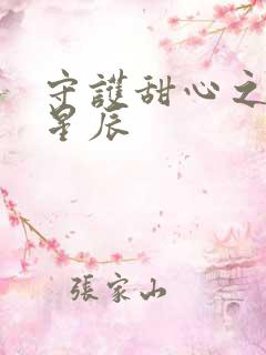 守护甜心之暗夜星辰