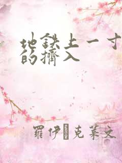 地铁上一寸一寸的挤入