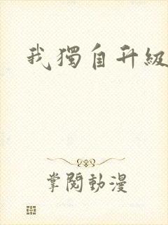 我独自升级小说