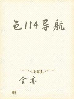 色114导航
