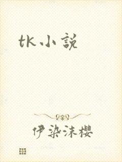 tk小说
