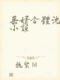 岳婿合体沈绝的小说