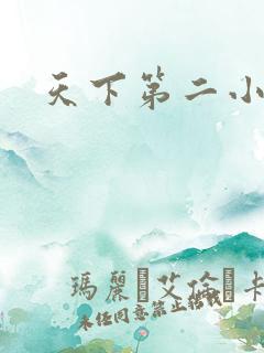 天下第二小说