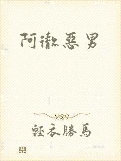 阿彻恶男