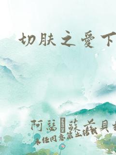 切肤之爱下载