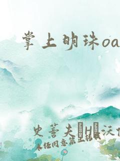 掌上明珠oa