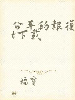 公平的报复txt下载