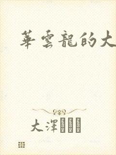 华云龙的大宝贝