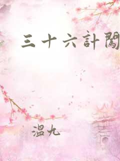 三十六计闯官场