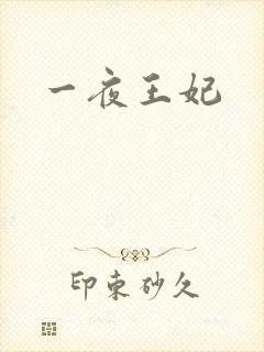 一夜王妃