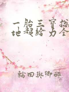 一胎三宝总裁爹地超给力全文免费阅读