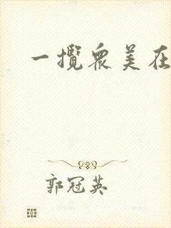 一揽众美在三国