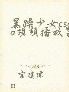 暴躁少女csgo视频播放器推荐