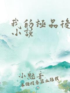 我的极品后宫 小说