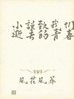 小说致我们终将逝去的青春