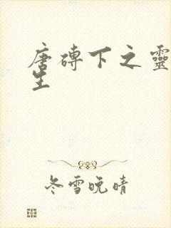 唐砖下之灵域双生