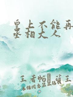 皇上不能再进了丞相大人