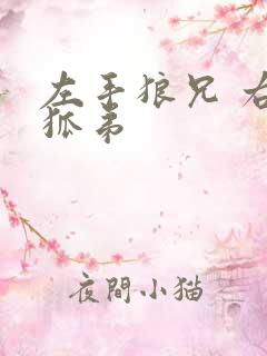 左手狼兄 右手狐弟