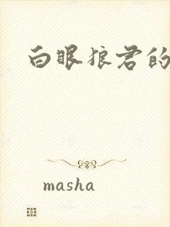 白眼狼君的小说